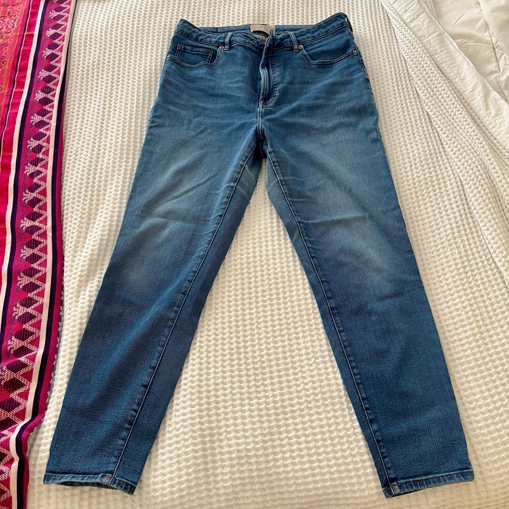 Everlane Blue Skinny Jeans Classic Fit